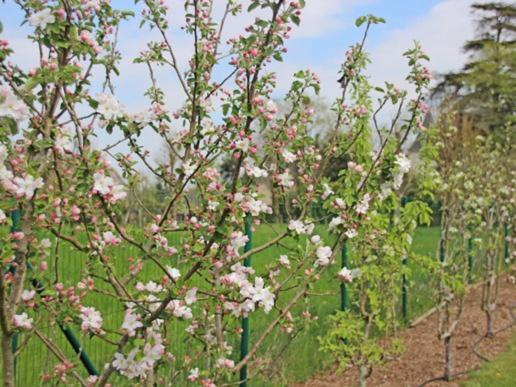 오 프리 케히 호텔 Plumergat 외부 사진
